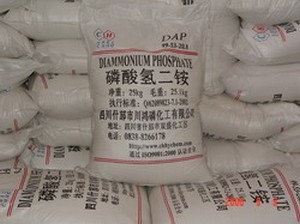 供应磷酸氢二铵